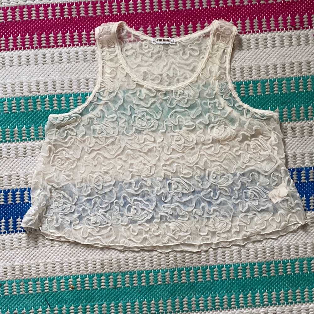 Free People Sheer Cropped Top